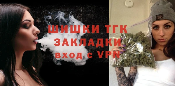 молекула духа Волосово